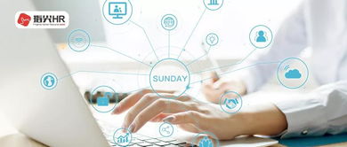 公司組織員工休息日培訓，是否需要支付加班費？——以辦公軟件服務為例