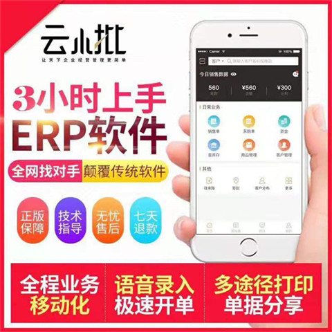 數(shù)字時代的核心驅(qū)動力 軟件與服務(wù)生態(tài)解析